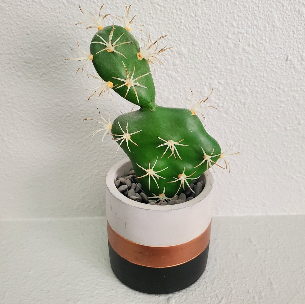 Decrotive Fake Cactus